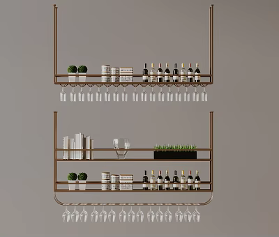 Decorative Hanging Shelves With Wine Bottles And Wine Glasses Small Plants And Books 3d model