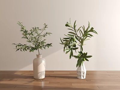 Two Bonsai Potted Plants In White Vases Placed On Wooden Floor Against Light Wall 3d model