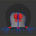 Jellyfish With Transparent Spherical Body Blue Tentacles And Red Tips On Dark Background