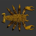 Orange Scorpion Reptile 3D Model With Detailed Textured Exoskeleton On Gray Background