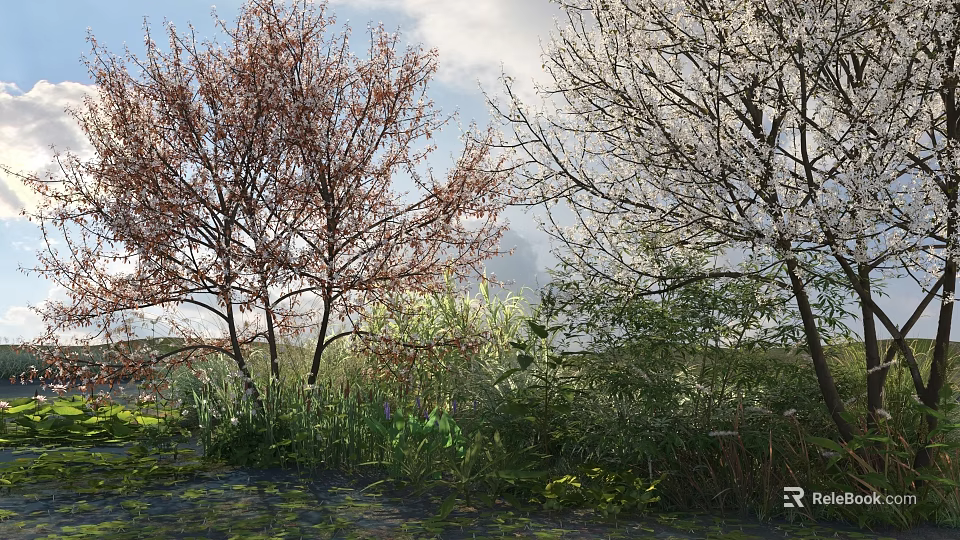 Trees With Red Brown And White Blossoms And Green Vegetation Under Blue Sky 3d model 