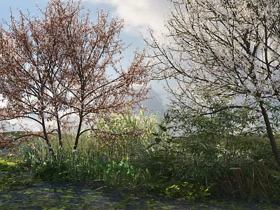Trees With Red Brown And White Blossoms And Green Vegetation Under Blue Sky 3d model