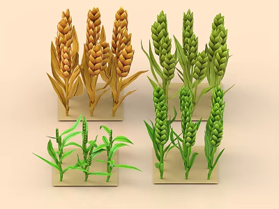 Different Agricultural Crops Including Golden Wheat and Green Plant Varieties in Display Models 3d model