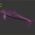 Spotting Dolphin Cartoon Dolphin Animation Dolphin Animation Dolphin Animation Character Game Character 3d model
