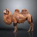 Brown Camel With Fluffy Fur And Two Humps Standing On Gray Background