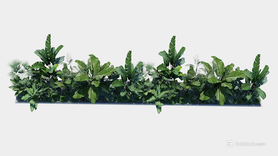 Green Plant Wall With Lush Green Foliage And Various Tropical Leaves For Decor 3d model 