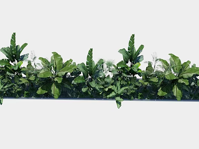 Green Plant Wall With Lush Green Foliage And Various Tropical Leaves For Decor 3d model