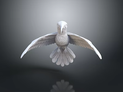 White Bird 3D Model with Spread Wings on Dark Background and Reflection 3d model