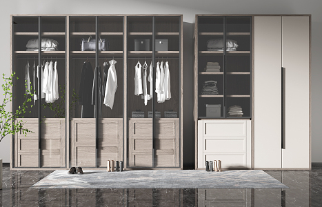 Modern wardrobe 3d model