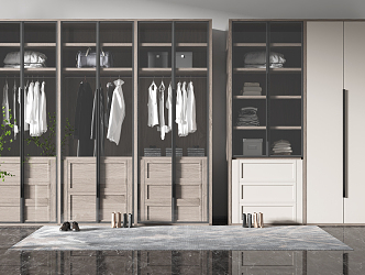 Modern wardrobe 3d model