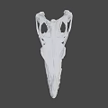 Detailed Dinosaur Skull Fossil With Anatomical Skeletal Structure On Gray Background