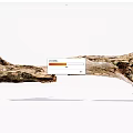 Natural Weathered Wood Logs Featuring Split Trunk And Intricate Root Texture On White Background