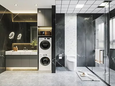 Modern Bathroom Interior With Marble Walls Washing Machine Dryer Toilet And Shower Area 3d model