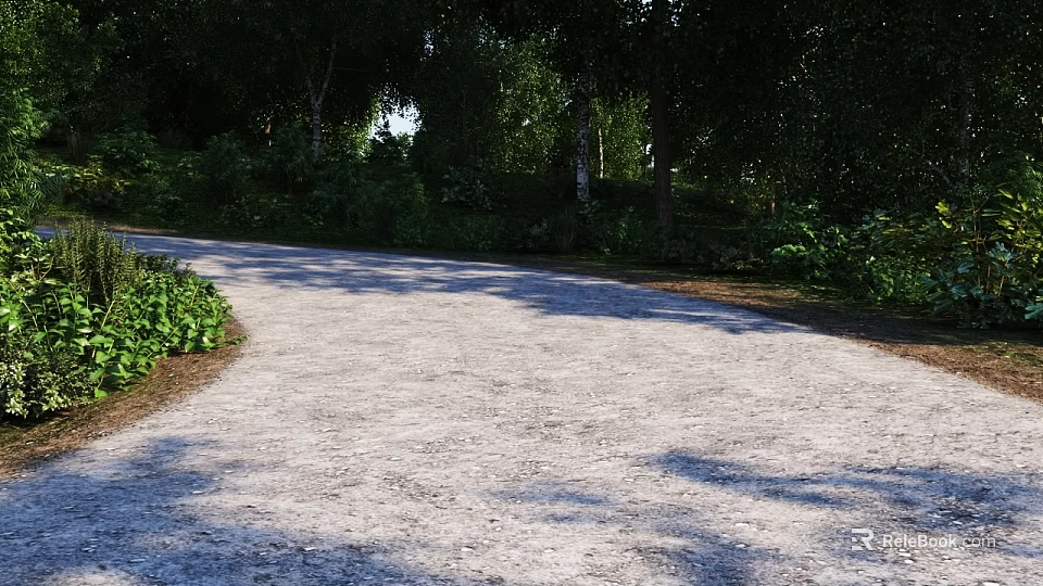 Tall Trees Alongside Gravel Path With Green Plants And Sunlight Shadows In Lush Forest 3d model 