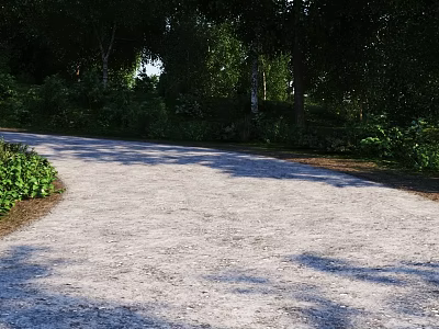 Tall Trees Alongside Gravel Path With Green Plants And Sunlight Shadows In Lush Forest 3d model