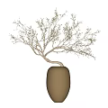 Natural Decorative Branches In Handcrafted Clay Vases For Home Interior