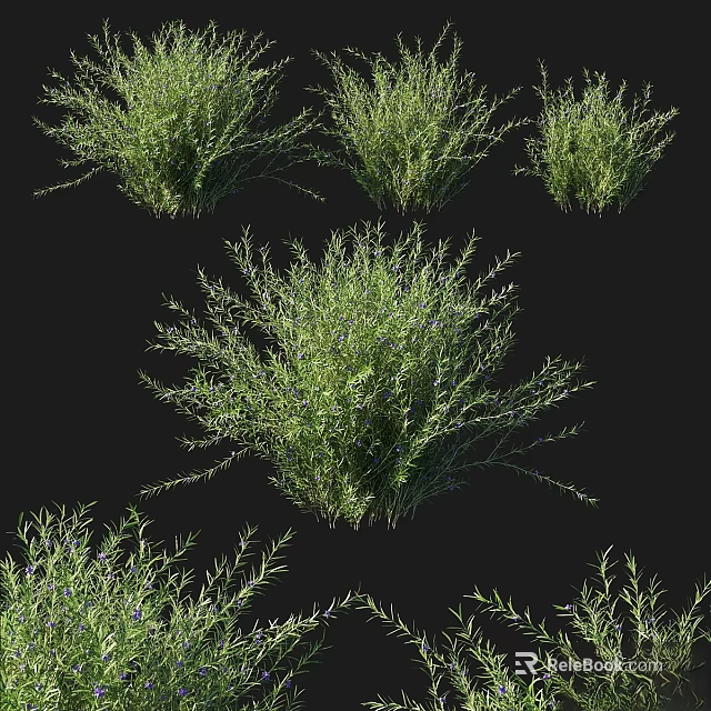 Natural Green Plant Ornamental Decor Set With Various Leafy Designs For Home Decoration 3d model 