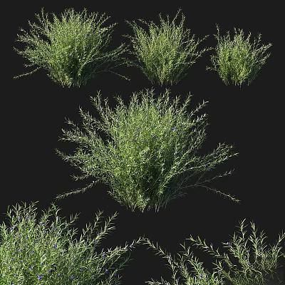 Natural Green Plant Ornamental Decor Set With Various Leafy Designs For Home Decoration 3d model