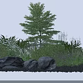 Lush Shrubs With Green Foliage Surrounded By Trees Stones And Lavender Herbs
