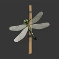 Modern Dragonfly Thin-winged Dragonfly Le Fairy Dragonfly Purple Red Dragonfly 3d model