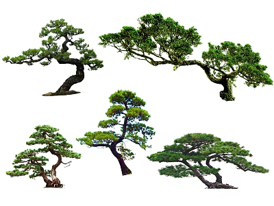 Various Ornamental Trees Showcasing Curved Branches And Lush Green Foliage 3d model