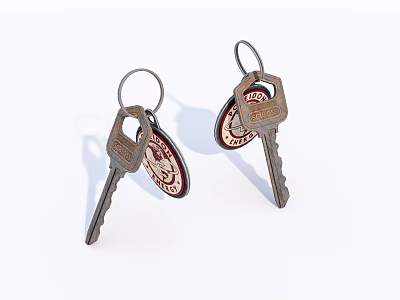 Unique Key Shaped Earrings Fashion Jewelry With Decorative Design Details 3d model