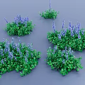 Lush Green Foliage With Vibrant Purple Flower Clusters In Garden