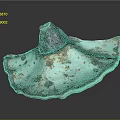 Fan Shaped Teal Fungal Plant With Red Edges And Brown Spots