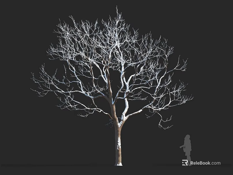 Bare Tree With Thick Trunk Spreading Branches And Human Silhouette On Black Background 3d model