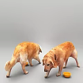 Two Golden Retrievers With Different Stances Eating From Yellow Bowls On Gray Background