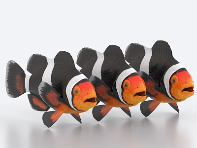 Three Clownfish With Black And White Stripes And Orange Faces As Aquatic Animals 3d model