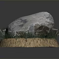 Natural Stone Placed On Wooden Base With Dirt And Grass Accents