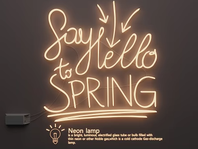 Decorative Neon Lamp with Say Hello to Spring Text for Modern Wall Art 3d model