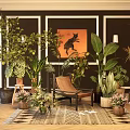 Bonsai Potted Plants In Modern Indoor Living Room With Greenery Furniture Wall Art And Rug