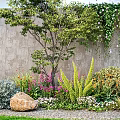 Outdoor Garden With Various Flowers Plants Vines Gray Wall And Stones