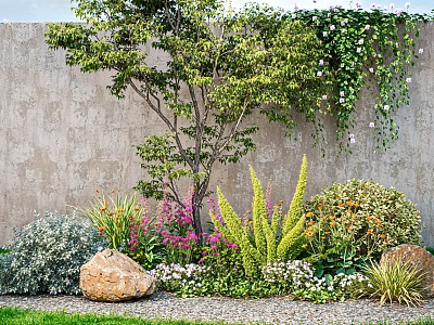 Outdoor Garden With Various Flowers Plants Vines Gray Wall And Stones 3d model