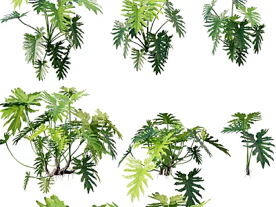 Lush Garden Landscape Featuring Various Green Leafy Plants And Tropical Foliage 3d model