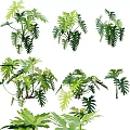 Lush Garden Landscape Featuring Various Green Leafy Plants And Tropical Foliage