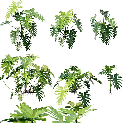 Lush Garden Landscape Featuring Various Green Leafy Plants And Tropical Foliage 3d model