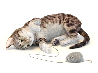 The picture mainly shows a cat and a mouse, with no reptiles present. It is impossible to generate a title with reptiles as the main subject based on the key information of the picture. 3d model