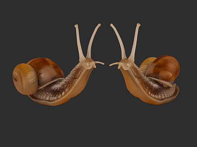 Two Brown Shelled Reptiles Facing Each Other On Dark Background Surface 3d model
