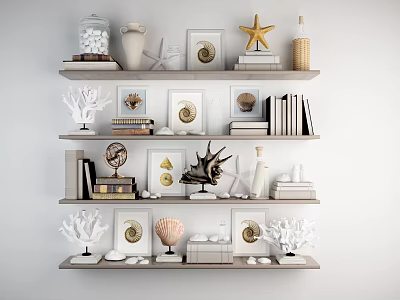 Stylish Ornamental Decor Combination on Shelf with Shells Starfish Coral Frames and Books 3d model