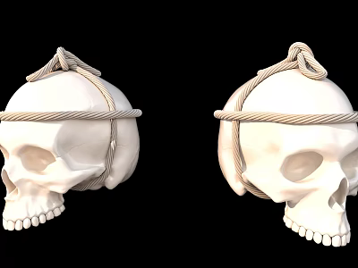 Two 3D Rendered Human Skulls Wrapped With Thick Rope On Black Background 3d model