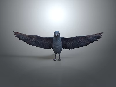 Bird with Spread Wings Standing on Neutral Gray Background Detailed Feathers 3d model