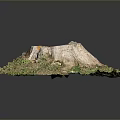 Natural Old Tree Stump With Hollow Center Surrounded By Green Grass