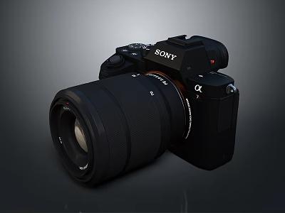 Sony Alpha Professional Digital Camera With Black Lens And High Quality Body 3d model