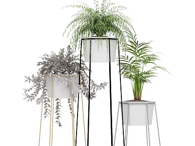 Stylish Bonsai Potted Plants with Various Green Foliage in White Planters on Metal Stands 3d model