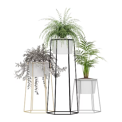 Stylish Bonsai Potted Plants with Various Green Foliage in White Planters on Metal Stands 3d model