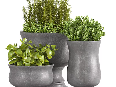 Decorative Green Foliage Potted Plants In Grey Stone Pots With Diverse Shapes 3d model