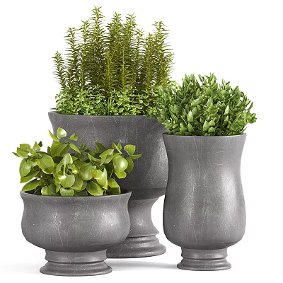 Decorative Green Foliage Potted Plants In Grey Stone Pots With Diverse Shapes 3d model